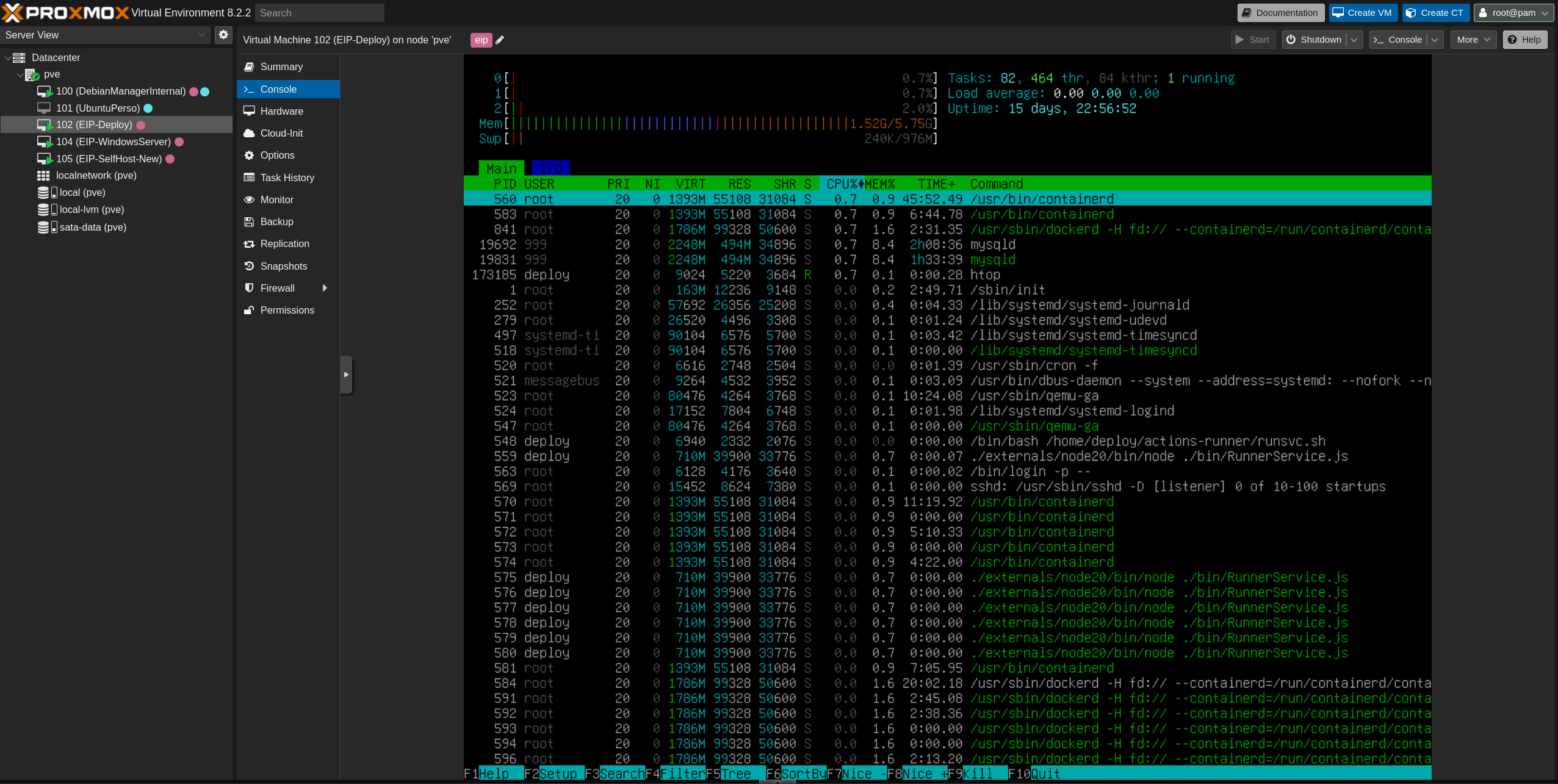 htop view of the virtual machine